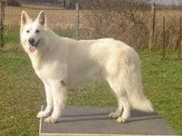 uthak_20211128_2021914960